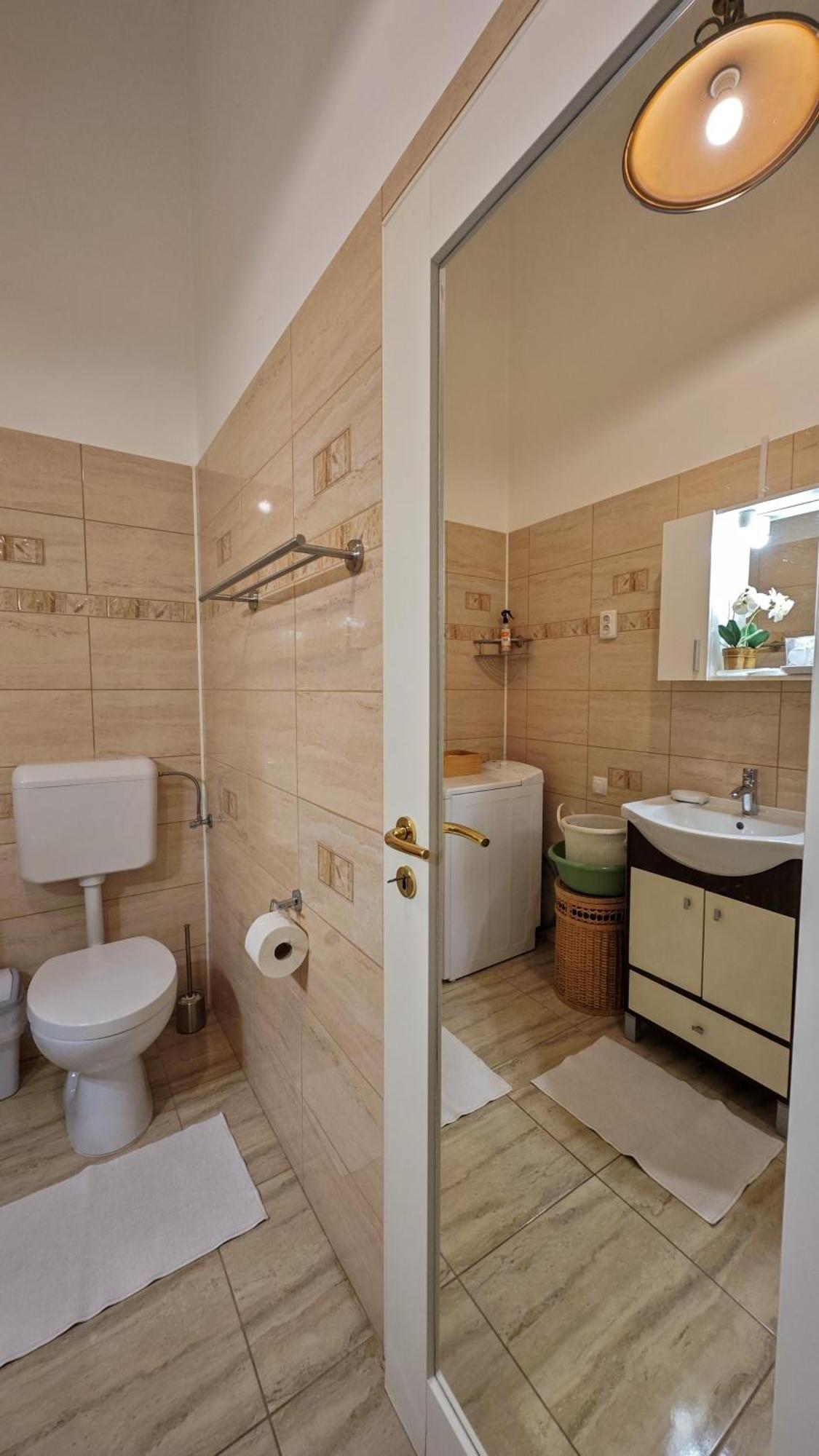Neuhausz Residenz Ultra-Central Apartment Timişoara Exterior foto